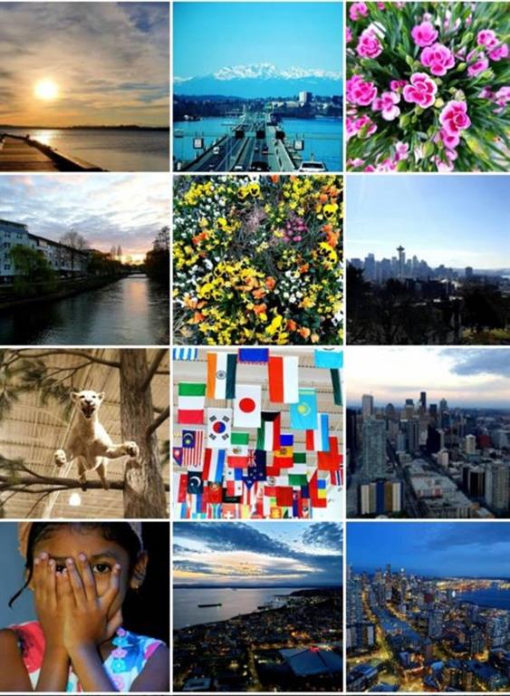 How I Find Time To Write Blogs And For My Hobbies